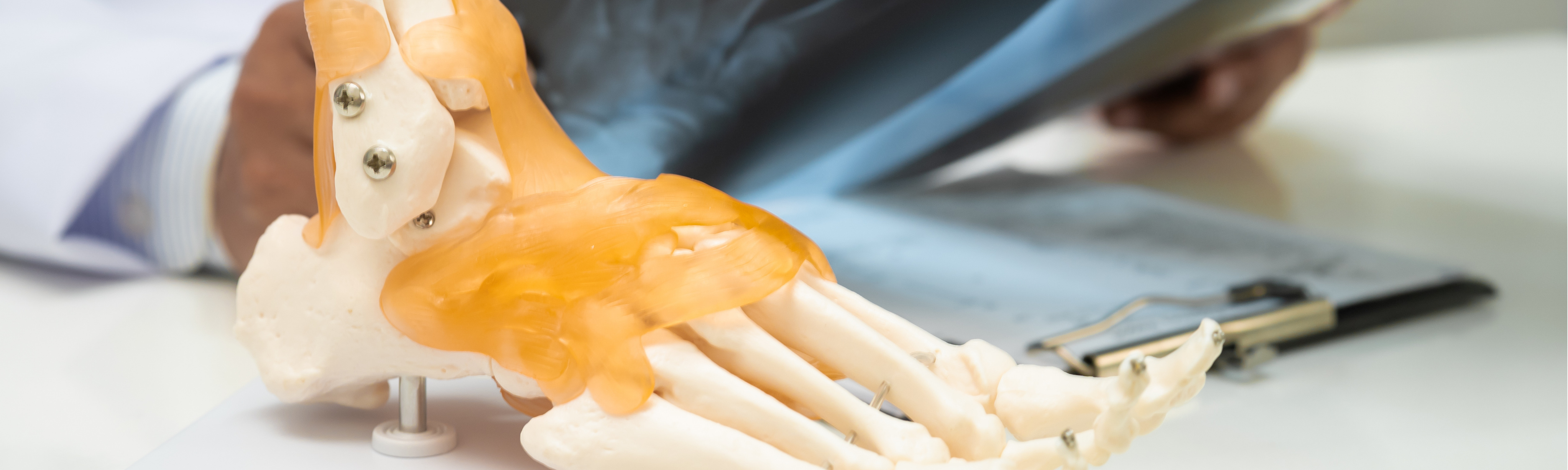 Radiographic Anatomy | Bones of the Ankle & Foot